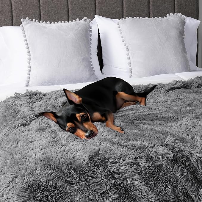 PetAmi Waterproof Dog Blanket for Large Dog, Calming Pet Blanket Bed Couch Cover Protector, Washable Sherpa Faux Fur Throw for Sofa Furniture Protection, Soft Fluffy 60x80 Gray