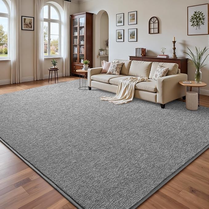DweIke Rugs for Bedroom Living Room, 4x6 ft Grey Area Rug, Washable Memory Foam Indoor Carpet, Modern Non-Slip Ultra Soft Carpets for Kids Boys Girls Adults Nursery Dorm Home Decor