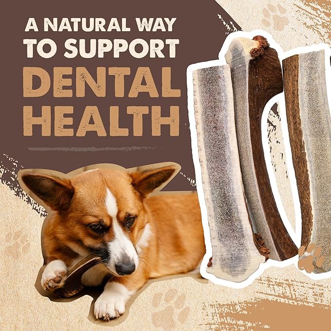 Mighty Paw Naturals Split Elk Antler for Dogs | USA Sourced, Long Lasting Chew for Aggressive Chewers – Low Odor, Natural Alternative to Dog Toys