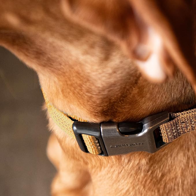 Carhartt Nylon Webbing Dog Collar, Fully Adjustable W/Durable Side Release Buckle, Light Moss, Large