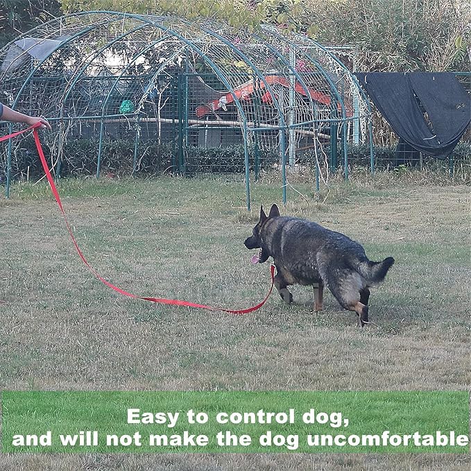 Strong Durable Nylon Dog Training Leash, 1 Inch Wide Traction Rope, 6 ft Long, for Small and Medium Dog (Purple, 6 Feet)