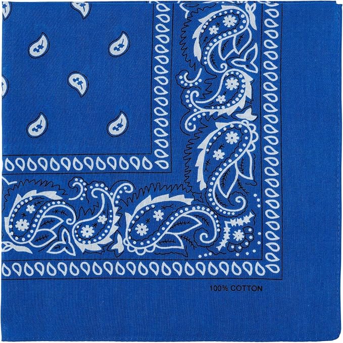 combocube 12 Pack(one Dozen) Multi-Purpose Cotton Paisley Cowboy Bandanas Headband for Men and Women