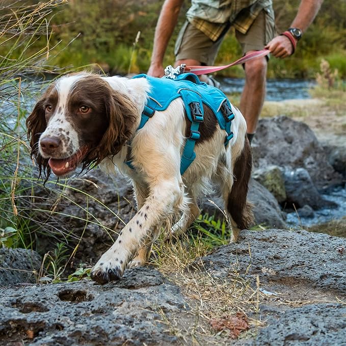 Ruffwear, Web Master, Multi-Use Support Dog Harness, Hiking and Trail Running, Service and Working, Everyday Wear, Twilight Gray, Large/X-Large