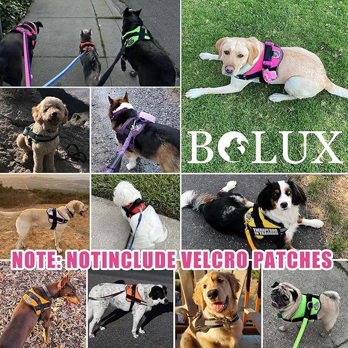 Bolux Dog Harness, No-Pull Reflective Dog Vest, Breathable Adjustable Pet Harness with Handle for Outdoor Walking - No More Pulling, Tugging or Choking (Fuchsia, Small (Pack of 1))