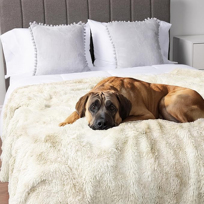 PetAmi Waterproof Dog Blanket for Large Dog, Queen Size Calming Pet Blanket Couch Cover Protector, Sherpa Faux Fur Cat Throw for Sofa Furniture Bed, Soft Fluffy XL, 90x90 Cream Beige
