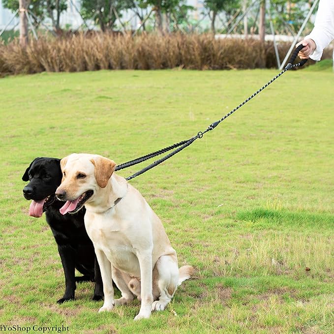 iYoShop Dual Dog Leash - 360° Swivel, No Tangle Walking Leash with Shock Absorbing Bungee for Two Dogs (Medium, 8-35 lbs, Black)