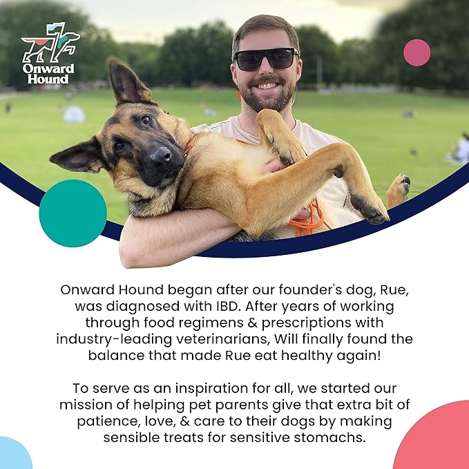 Onward Hound Elk Antlers for Dogs, 6"+ Medium 3-Pack, Grade A Long Lasting for Aggressive Chewers, Premium USA Naturally Shed Antler - Healthy, No Odor, Durable Chew for 15-35lb Breeds