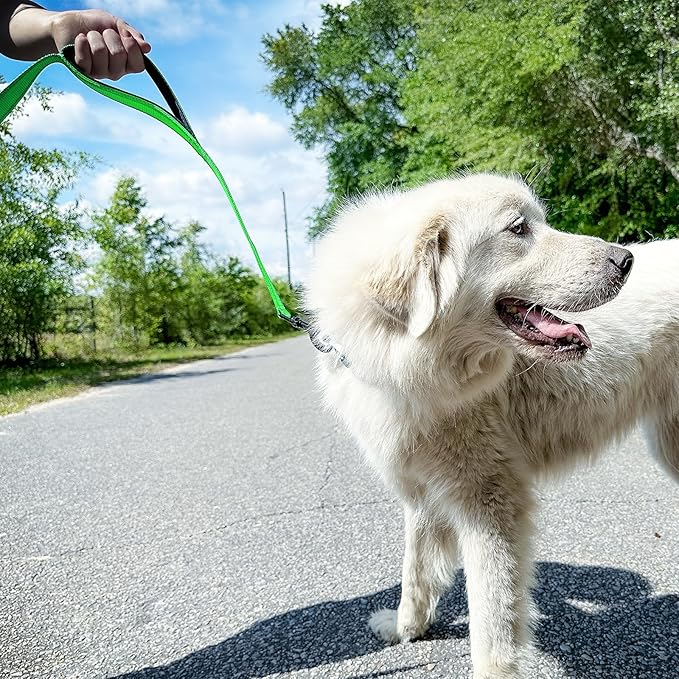Joytale Dog Leash Heavy Duty for Large Dogs That Pull, Double Handle for Traffic Control, Double-Sided Reflective Leashes for Large Medium Dogs Night Safety, 5FT, Green