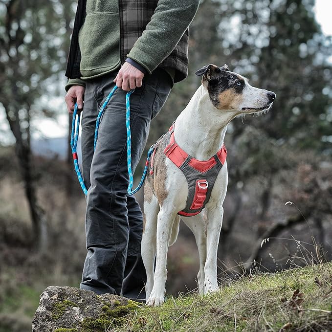 Kurgo Journey Air Dog Harness - Secure Fit for Active Dogs - Padded Chest - Lightweight Ripstop Fabric - Breathable Mesh - Reflective Trim - Back Assist Handle - Coral - Large