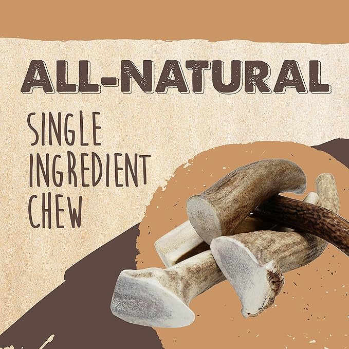 Mighty Paw Split Elk Antlers for Dogs (Sourced in The USA) | 1 Whole Medium 6"+ Long Lasting Bones for Aggressive Chewers - Naturally Shed Split Deer Antler for Dogs - Low Odor Chews (Pack of 1)