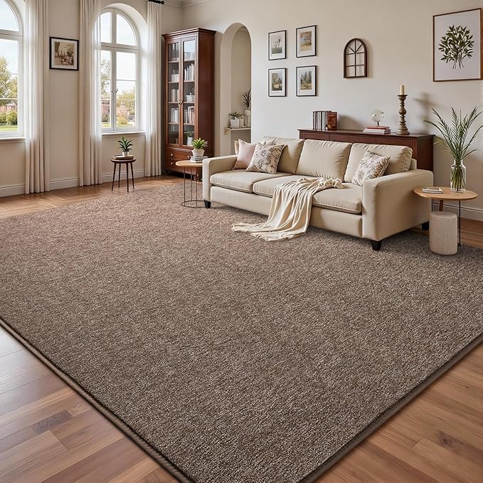 DweIke Rugs for Bedroom Living Room, 6x9 ft Brown Area Rug, Washable Memory Foam Indoor Carpet, Modern Non-Slip Ultra Soft Carpets for Kids Boys Girls Adults Nursery Dorm Home Decor