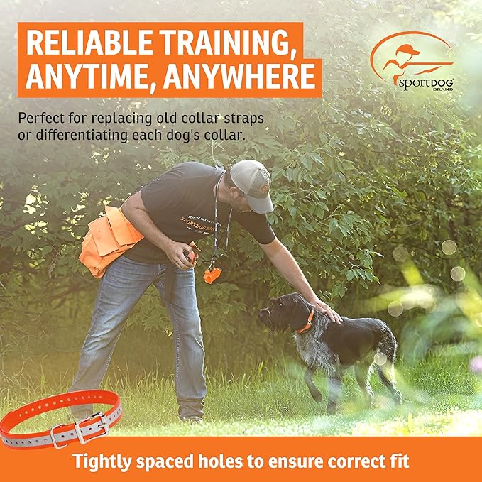 SportDOG 3/4-Inch Collar Strap - Waterproof Replacement Strap for Rugged Outdoor Use - Adjustable Collar with High Visibility - Reflective Orange
