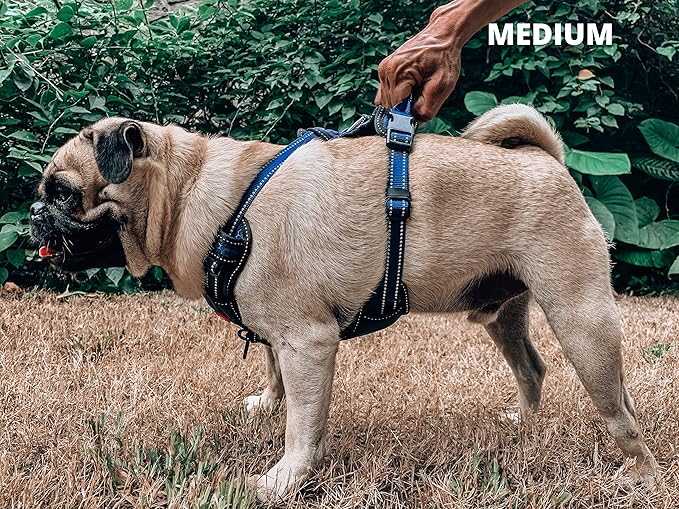 Tuff Pupper No Pull Easy Walk Dog Harness | Heavy Duty Pet Vest | Front & Back Leash Clips | Strong Safety Handle | Reflective Anti Pull Vest | Comfortable Padded Escape Proof Harness (Medium, Blue)