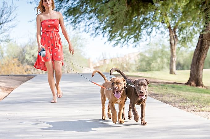 Wigzi - 2025 Edition - 2 Dog Retractable Leash ??Featuring Our Incredible Silicone Gel Handle - No Tangle Engineering. Each Dog 50 lb up to 10 ft Distance. Lock and Unlock Easily. Reflective Webbing.