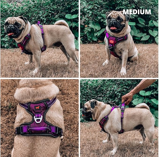 Tuff Pupper No Pull Easy Walk Dog Harness | Heavy Duty Pet Vest | Front & Back Leash Clips | Strong Safety Handle | Reflective Anti Pull Vest | Comfortable Padded Escape Proof Harness(Medium, Purple)