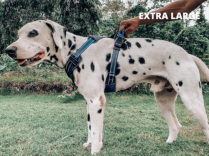 Tuff Pupper No Pull Easy Walk Dog Harness | Heavy Duty Pet Vest | Front & Back Leash Clips | Strong Safety Handle | Reflective Anti Pull Vest | Comfortable Padded Escape Proof Harness (X-Large, Blue)