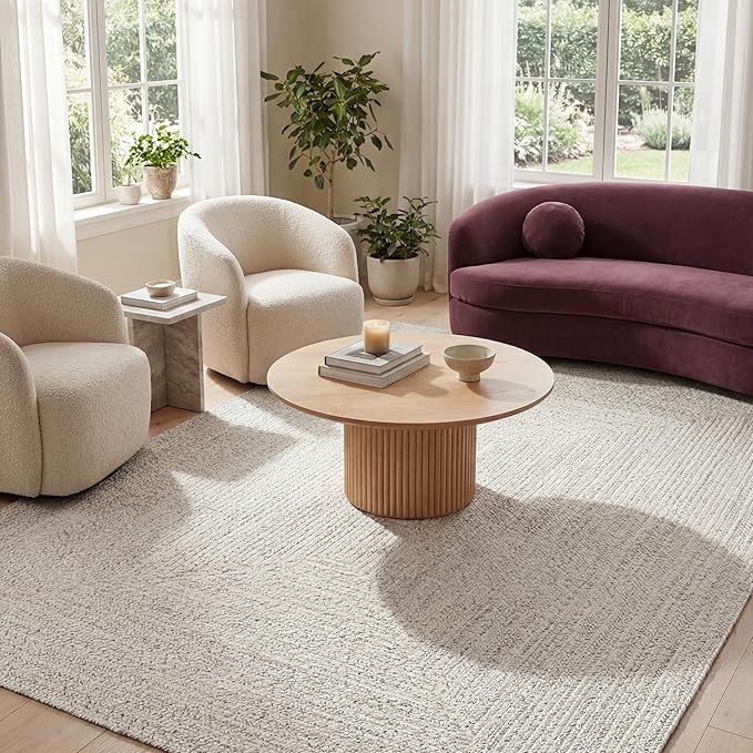 nuLOOM 4' x 6' Solid Hand Braided Indoor/Outdoor Area Rug, Pet-Friendly, High Traffic, Weather Resistant, for Patio, Balcony, Bedroom, Living Room, Dining Room, Wynn Ivory