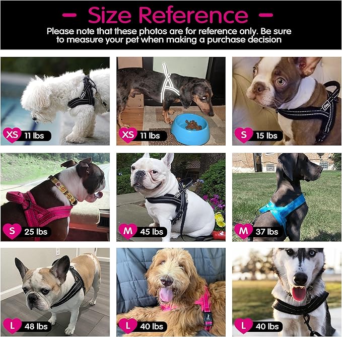 Didog No Pull Dog Harness with Soft Mesh Padded,Reflective & Quick Fit Light Weight Dog Strap Vest Harness,Easy for Walking Training (M:Chest 21-26", Mesh-Black)