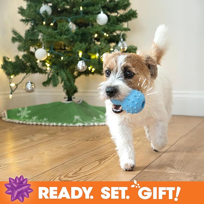Nylabone Dog Gift Box, Includes 4 Rubber Strong Chew Toys and 1 Natural Treat, Gifts for Dogs, Small - Up to 25 lbs, 5 Pack