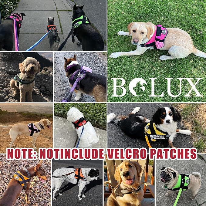 Bolux Dog Harness, No-Pull Reflective Dog Vest, Breathable Adjustable Pet Harness with Handle for Outdoor Walking - No More Pulling, Tugging or Choking (Flag, Small)