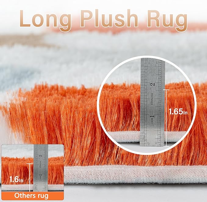 Checkered Rug 4x4 for Living Room, Modern Rainbow Shag Rug Super Soft Washable Indoor Fuzzy Carpet Non-Slip Fluffy Rugs for Bedroom Home Aesthetic Decor