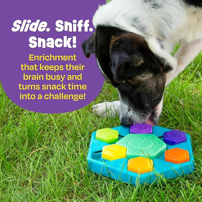 Brightkins Spin & Seek Hexagon Treat Puzzle, Outdoor Puzzle Board, Interactive Dog Toys, Dog Birthday, Enrichment Slow Feeder Bowls, Puppy Teething and Chewing, Stimulating Automatic Feeder