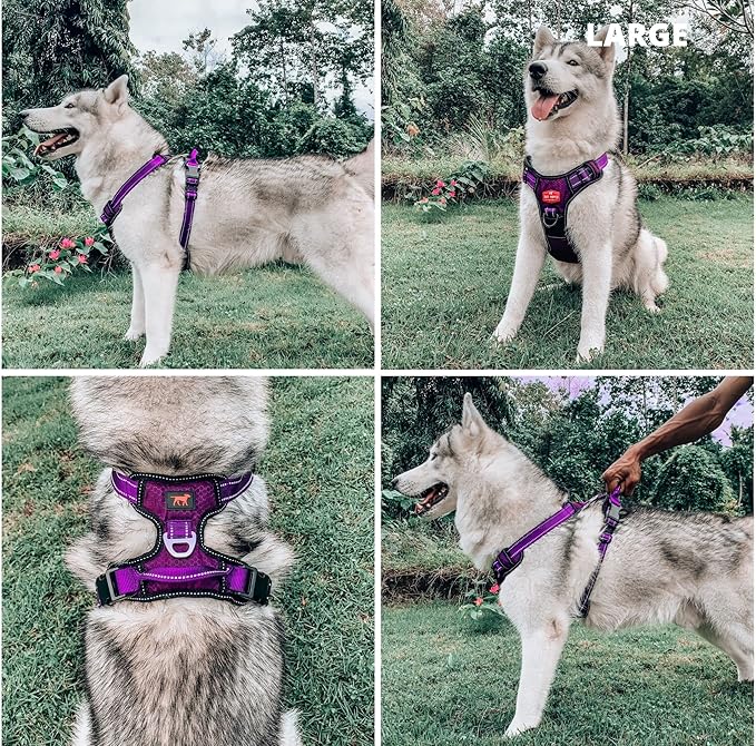 Tuff Pupper No Pull Easy Walk Dog Harness | Heavy Duty Pet Vest | Front & Back Leash Clips | Strong Safety Handle | Reflective Anti Pull Vest | Comfortable Padded Escape Proof Harness (Large, Purple)