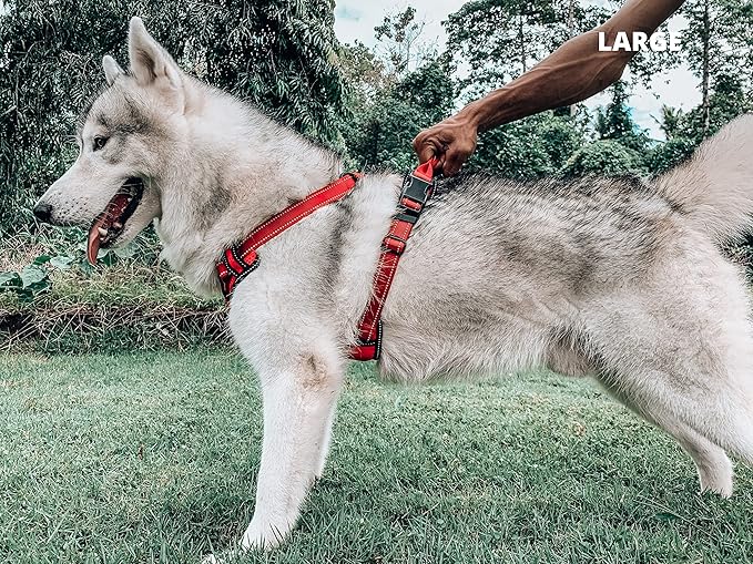 Tuff Pupper No Pull Easy Walk Dog Harness | Heavy Duty Pet Vest | Front & Back Leash Clips | Strong Safety Handle | Reflective Anti Pull Vest | Comfortable Padded Escape Proof Harness (Large, Red)