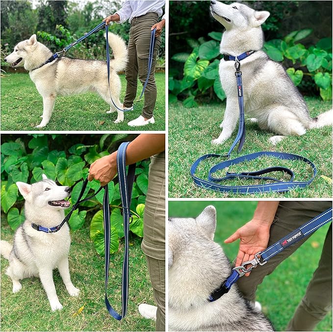 Tuff Pupper Heavy Duty Double Handle Leash | Twist Locking Carabiner Clip | Safety Lock for Strong Dogs | Reflective for Safe Night Walks | 6 Foot Leash | For Medium & Large Dogs