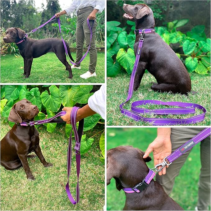 Tuff Pupper Heavy Duty Double Handle Leash | Twist Locking Carabiner Clip | Safety Lock for Strong Dogs | Reflective for Safe Night Walks | 6 Foot Leash | For Medium & Large Dogs