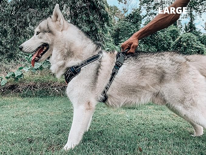 Tuff Pupper No Pull Easy Walk Dog Harness | Heavy Duty Pet Vest | Front & Back Leash Clips | Strong Safety Handle | Reflective Anti Pull Vest | Comfortable Padded Escape Proof Harness (Large, Black)