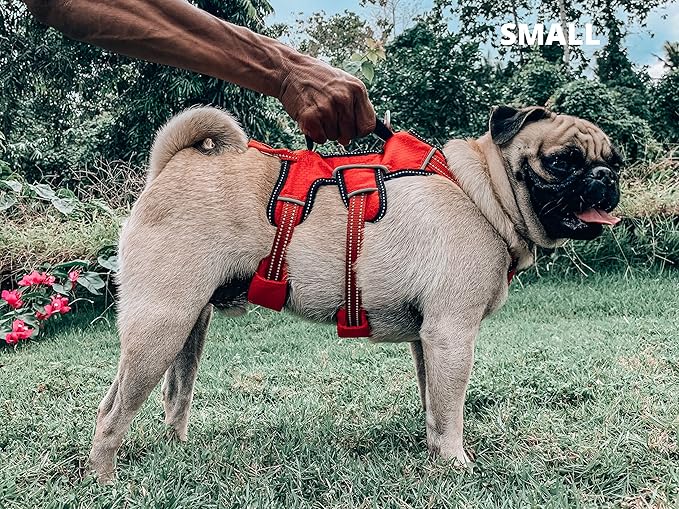 Tuff Pupper Tracker No Escape Dog Harness, Dual Attachment Points, Reflective 3M Stitching, XS - XL, March Red