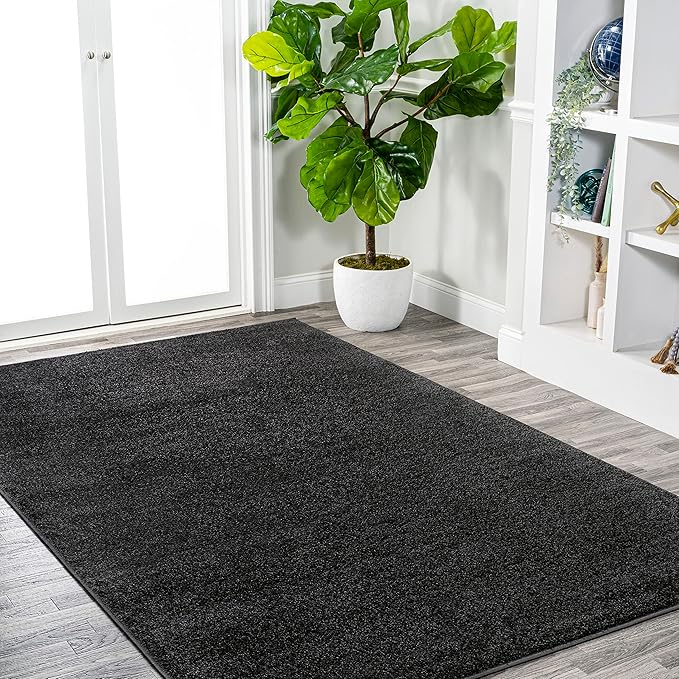 JONATHAN Y Haze Solid Low-Pile Black Indoor Area Rug 3x5, Coastal,Bohemian,Minimalist,Classic, Easy-Cleaning for Living Room,Bedroom,Kitchen,Pet Friendly,Non-Shedding (SEU100I-3)