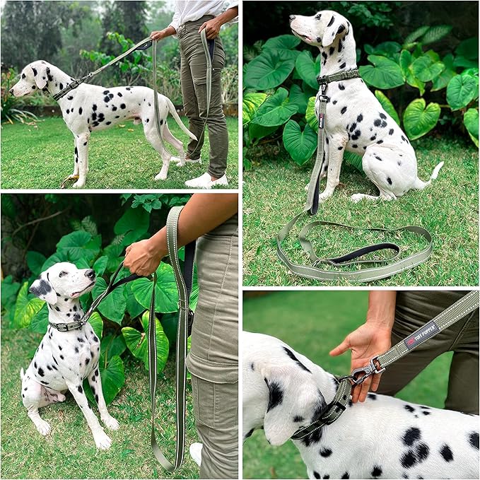 Tuff Pupper Heavy Duty Double Handle Leash with Twist Lock Carabiner Clip | Safety Lock for Strong Dogs | Reflective for Night Walks | 6ft for Medium & Large Dogs