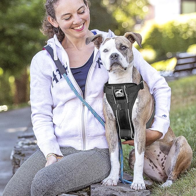 Kurgo Tru-Fit Smart Dog Walking Harness - Comfortable Fit - Adjustable Harness - Reflective Pet Wear - Quick Strap Release - Daily Walk Accessory - Includes Seat Belt Loop - Black - Large